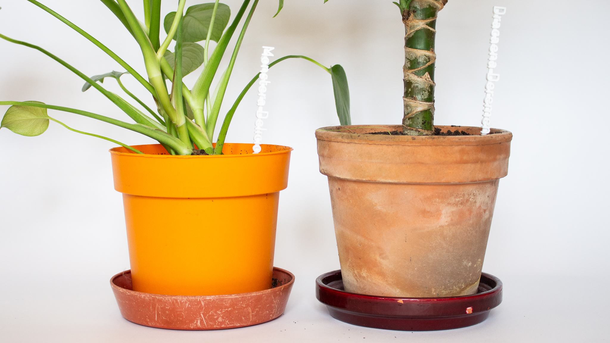 Pots pour plantes: poterie, choix contenant plantes